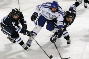 库里焦点对战，莱万多夫斯基与90激战勇士分钟，败北胜负难料！上演精彩一战